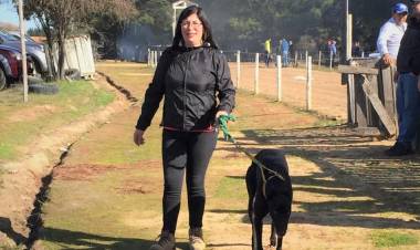 Rentería en contra de ley que prohíbe carreras de galgos