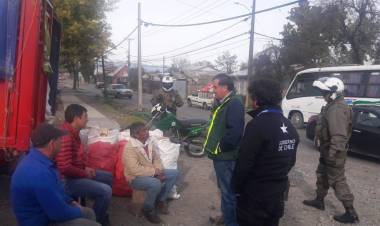 Fiscalizan venta de leña en Linares