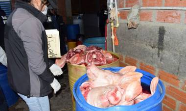 Un detenido por "matadero clandestino" en localidad de San Dionisio en Colbún