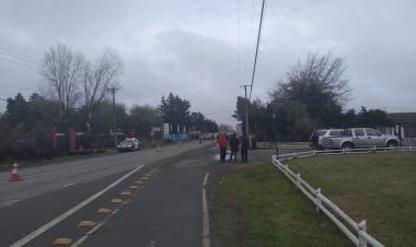 No hay pistas de autor de mortal atropello en ruta Panimávida