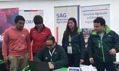 Gobernadora de Linares invitó a frambueseros a inscribirse en registro SAG para temporada de exportaciones 2019-2020