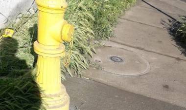 Vecinos denuncian mal estado de grifo en Villa “El Molino”