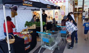 Usuarios de Indap inauguran nuevo mercado campesino en “Espacio Urbano” de Linares
