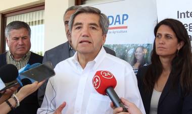 INDAP decide aplicar baja en intereses de créditos a campesinos