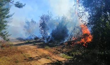 La agotadora labor de bomberos de Linares: 21 emergencias en 72 horas