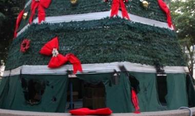 Una mujer y tres hombres, entre ellos estudiantes universitarios formalizados por daños al “Árbol de Los Deseos”