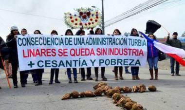 No hay información oficial sobre reapertura de la Iansa Planta Linares