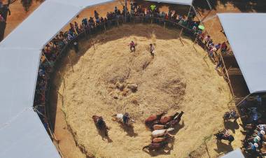 Fiesta de la “Trilla a Yegua Suelta” en Lomas de Putagán