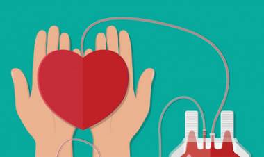 Hospital de Linares llama a la donación de sangre 