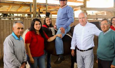 Destacan plan de equinoterapia para adultos mayores en Longaví