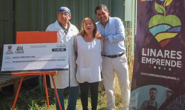 Lanzan fondo de apoyo para emprendedores en Linares