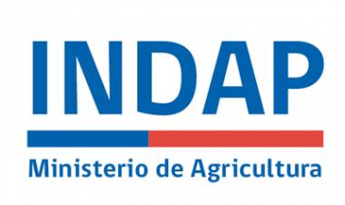 Agro confirma caso positivo de Covid-19 en funcionaria de Indap Maule