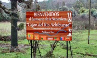 Temor por ocupación “ilegal” de cabañas en Ancoa y Achibueno por parte de familias que huyen del Covid-19