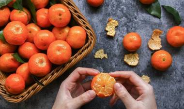 Nutricionistas de la UTalca recomiendan mantener una alimentación saludable y natural durante la cuarentena debido a la pandemia del Covid-19