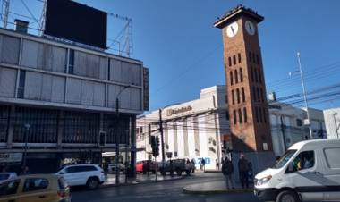Empresario de los berries dispone de 5 camionetas y bodegas para apoyar acciones solidarias en torno a la pandemia del Covid-19