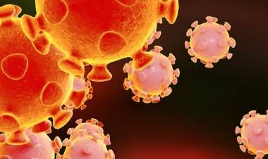 Linares aumentó a 11 los casos positivos de Coronavirus