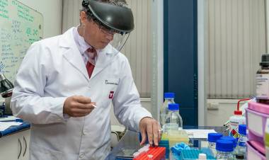 Científicos de la UTalca y UAutónoma descubren nuevo método de diagnóstico de Covid-19 con técnica más rápida que PCR