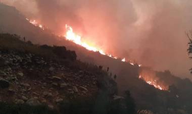 Graves daños deja incendio forestal en “Quebrada Medina” de sector “El Melado”