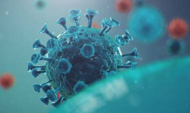 En Linares no hay nuevos contagiados de Covid-19