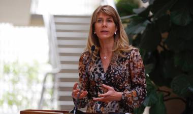 Senadora propone moción que protege a cooperativas eléctricas por no pago de clientes