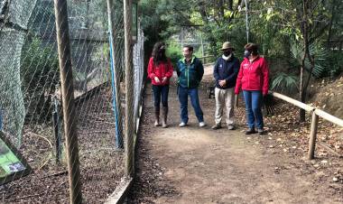 Autoridades visitaron "Casa Noé, Mundo Animal" para apoyar campaña de alimentación animal