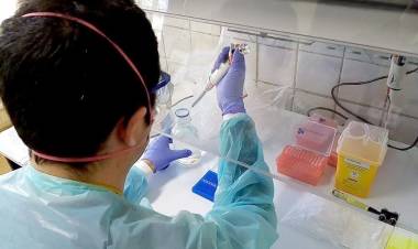 Hospital de Linares comenzó a procesar el examen PCR para Covid-19