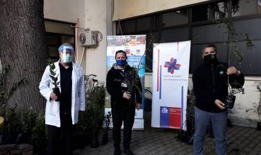 Infor conmemoró “Día del Medio Ambiente” regalando árboles nativos a funcionarios del hospital