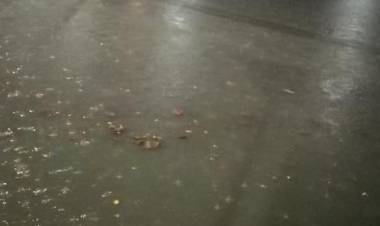 No hay familias anegadas ni damnificadas por las lluvias en Linares