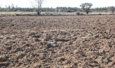 Indap invita a postular al segundo programa de suelos