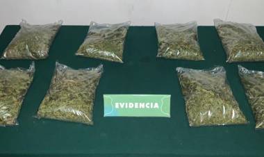 Carabineros decomisa 2 kilos y un medio de marihuana