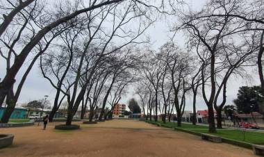 Linares llega a los 707 casos de Covid-19