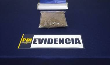 PDI Cauquenes detiene a sujeto por infracción a la ley de drogas