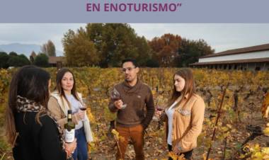 Estudiantes de la carrera de turismo del CFT Estatal  del Maule terminaron con éxito curso de “enoturismo”