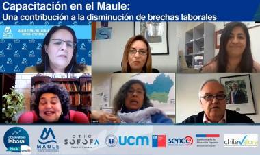Resultados de ENADEL 2019 y rol de capacitación en disminución de brechas laborales fueron claves en webinar del CFT Maule, Observatorio Laboral y SENCE