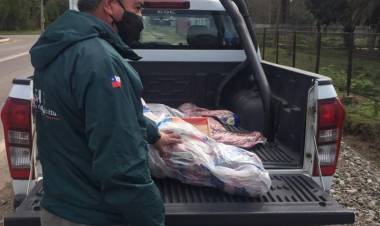 SAG decomisa 40 kilos de carne ilegalmente faenada en sector “La Quinta” de Longaví