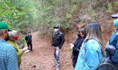 Seremi del Medio Ambiente constata implementación del Plan de Recuperación, Conservación y Gestión del Ruil en predios de la Región del Maule