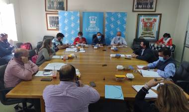 Concejales se quejan por ausencia de alcalde Mario Meza en sesión de Concejo Municipal