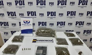 PDI detiene a sujeto por microtráfico de marihuana en Pelluhue