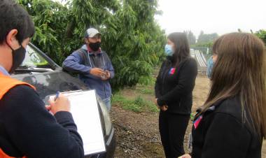 Aplican millonaria multa a empresa frutícola en Longaví por no cumplir medidas sanitarias por el Covid-19 y falencias de higiene 