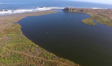(VIDEO) Senadora Rincón pide intervención de Ministra de Medio Ambiente por contaminación en río Loanco