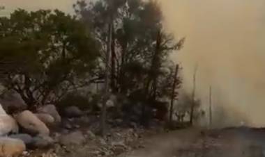 Municipio activa ABC de la emergencia por incendio forestal al interior del Santuario de la Naturaleza "Achibueno"