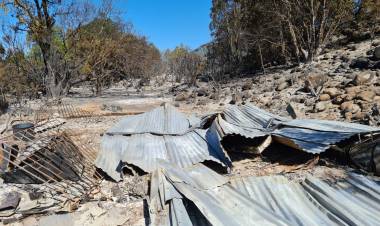 Una fogata mal apagada habría sido la causa del incendio forestal al interior del Santuario de la Naturaleza “Achibueno”