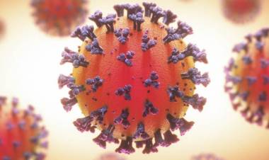 (VIDEO) Expertos de la UTalca analizan nueva cepa del Coronavirus