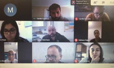 Colegio Médico del Maule tiene nueva directiva y lanzó página web