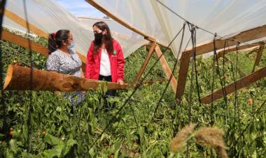 Ministra Undurraga por tragedia agrícola en Maule y O’Higgins: “es inminente la declaración de la emergencia” 
