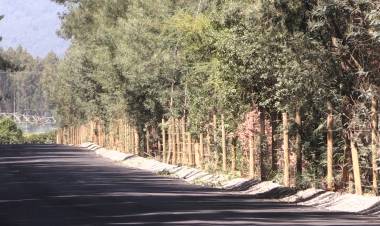 Significativo  avance tiene el asfalto del camino entre Quinamávida y Los Coligües en Colbún