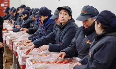 Consejo Regional aprueba mil 700 millones de pesos para crear más de mil puestos de empleo en el Maule