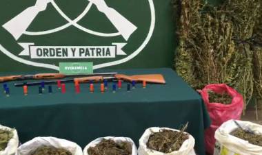 (VIDEO) Carabineros del OS-7 detiene a cinco personas y decomisa más  229 kilos de marihuana en proceso de secado en Linares