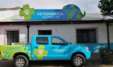 Este lunes comienza el trabajo de la Clínica Médico Veterinaria de Linares