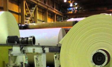 Muere un trabajador de 33 años tras caer desde una altura de 4 metros al interior de la planta CMPC Maule